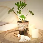 Luxury tent Hesselgaard Glamping Dalby