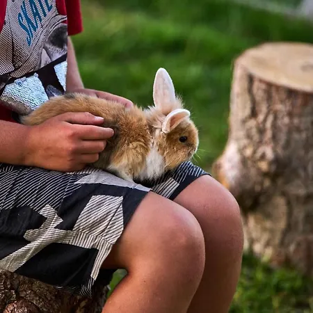 Hesselgaard Glamping