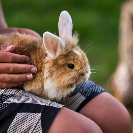 Hesselgaard Glamping Οργανωμένο κάμπινγκ *