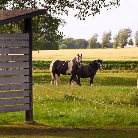 Οργανωμένο κάμπινγκ Hesselgaard Glamping Dalby