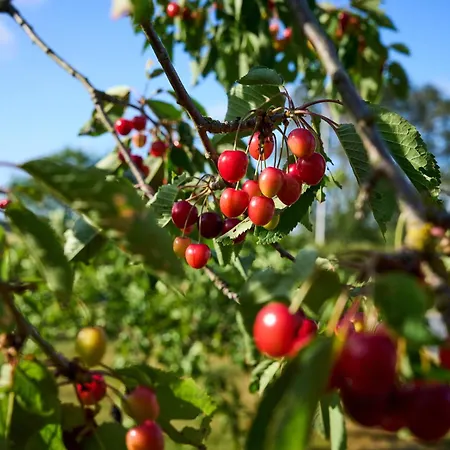 Hesselgaard Glamping Luxe tent