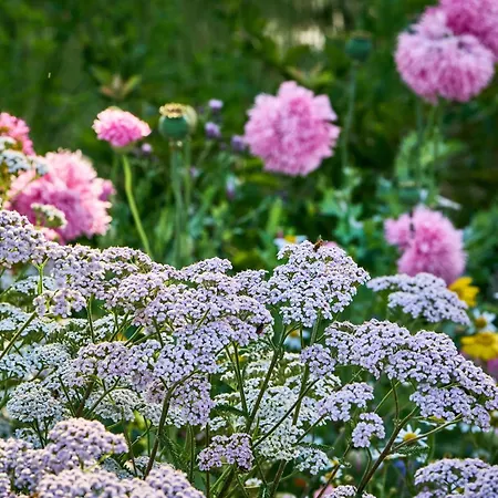 Hesselgaard Glamping Οργανωμένο κάμπινγκ Dalby