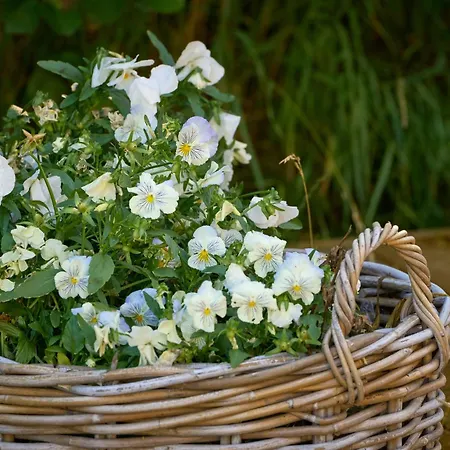 Hesselgaard Glamping *