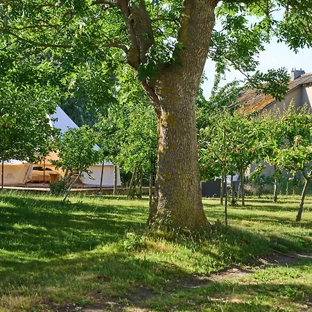 Luxury tent Hesselgaard Glamping *
